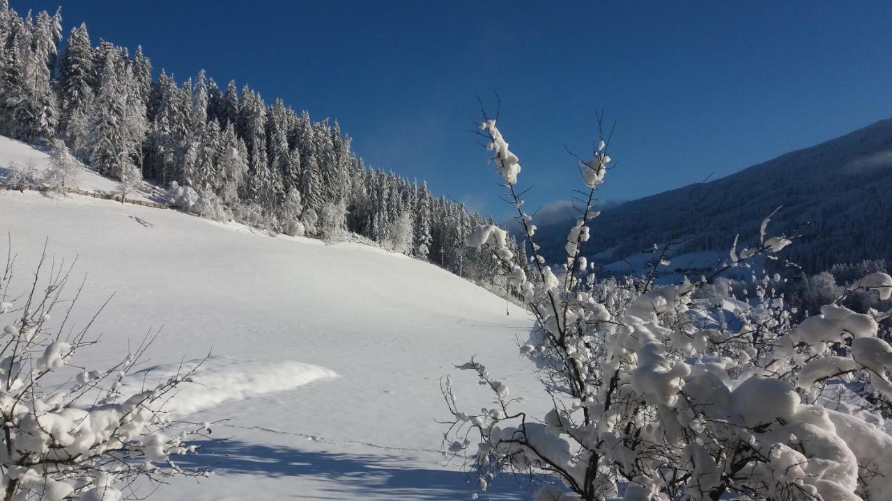 Bauernhof Burglehen Hotel Wagrain Kültér fotó